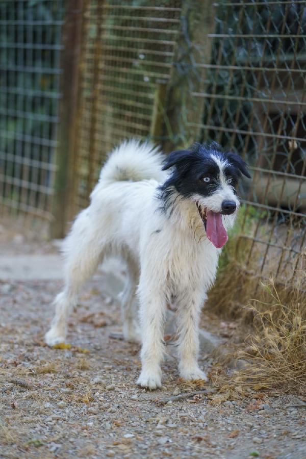 MOLLY Foto 2